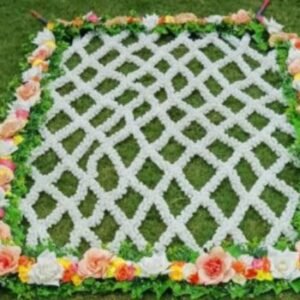 Bridal Entry Chaddar