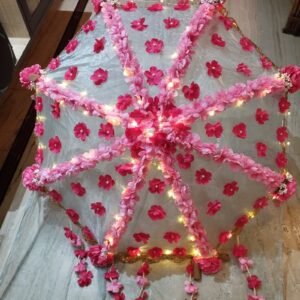 Red/Pink Led Umbrella